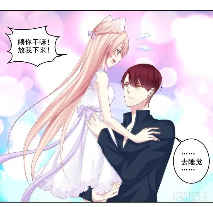 《猫妖的诱惑》这是要入洞房吗？ 第8页