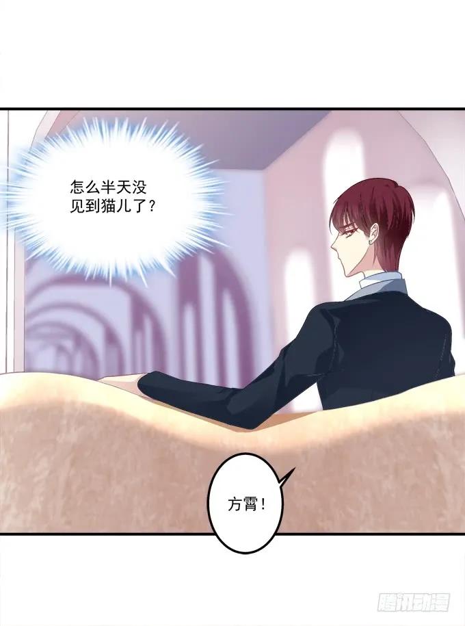 《猫妖的诱惑》黑白劫十六 第38页