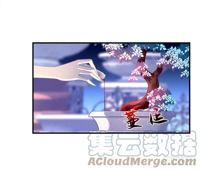 《猫妖的诱惑》黑白劫十六 第34页