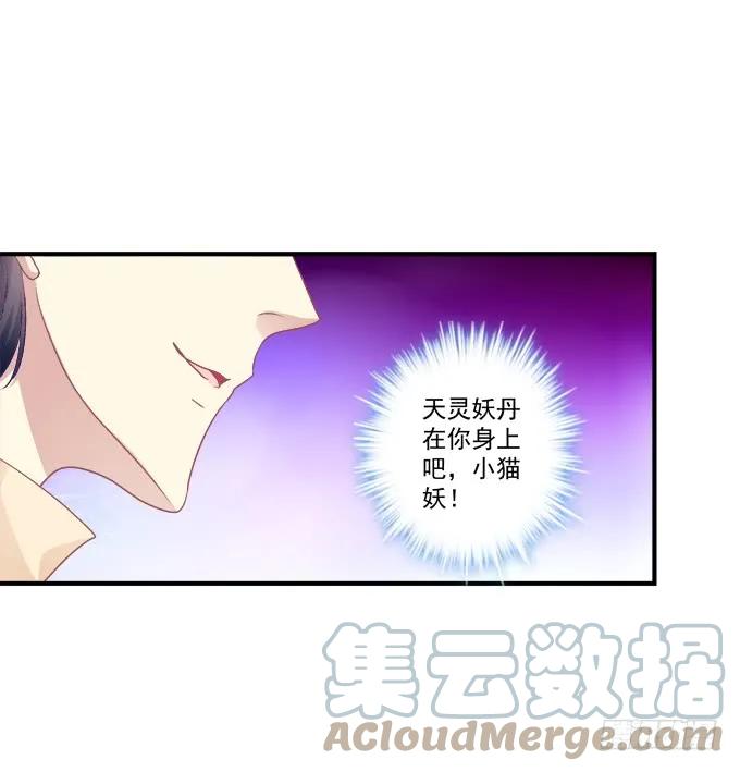 《猫妖的诱惑》黑白劫二十一 第34页
