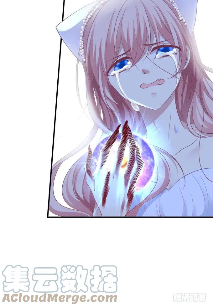 《猫妖的诱惑》黑白劫二十三 第34页