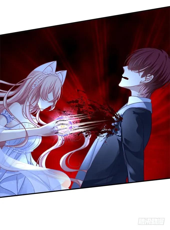 《猫妖的诱惑》黑白劫二十三 第27页
