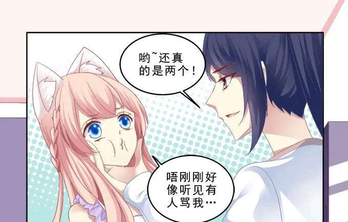 《猫妖的诱惑》甜蜜约会？ 第5页