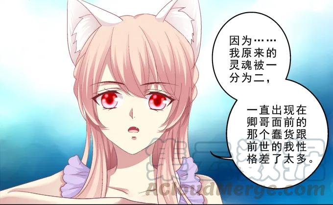 《猫妖的诱惑》甜蜜约会？ 第4页