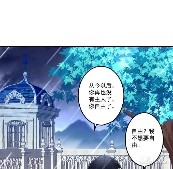 《猫妖的诱惑》黑白劫二十六 第5页