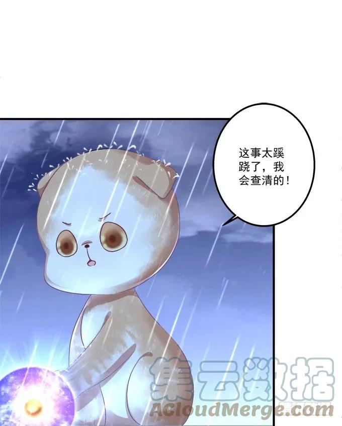 《猫妖的诱惑》黑白劫二十六 第13页