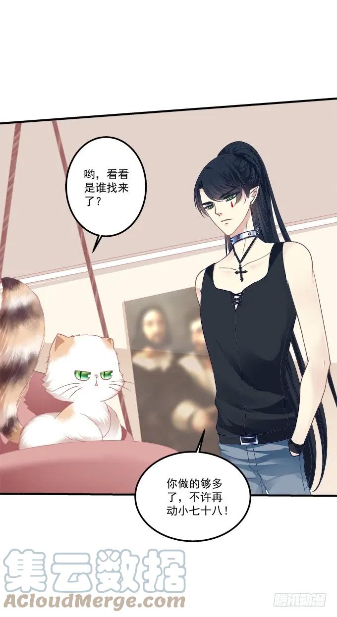 《猫妖的诱惑》黑白劫三十 第29页