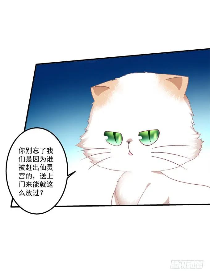 《猫妖的诱惑》黑白劫三十 第30页
