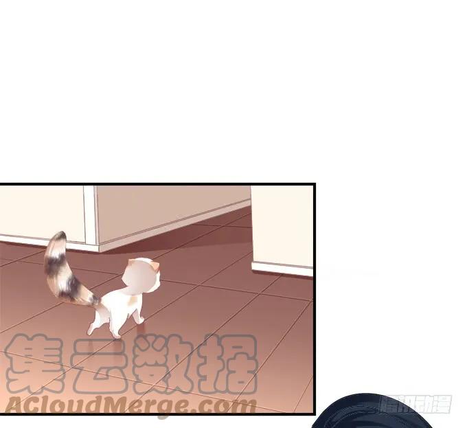 《猫妖的诱惑》黑白劫三十 第31页