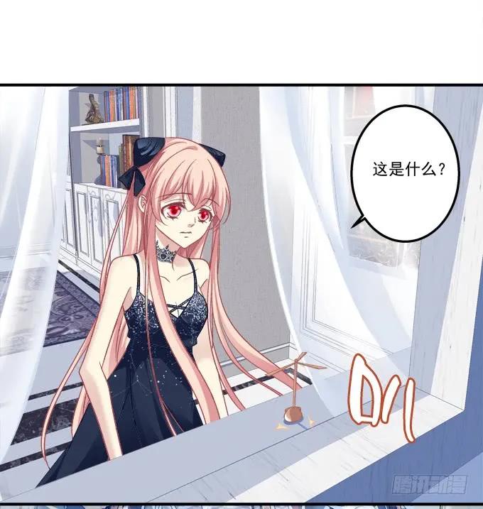 《猫妖的诱惑》黑白劫三十六 第24页