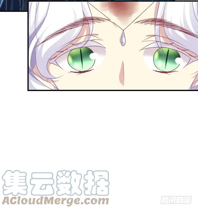 《猫妖的诱惑》黑白劫三十六 第16页