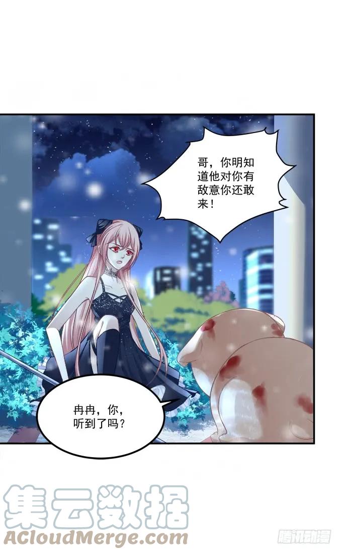《猫妖的诱惑》黑白劫三十七 第10页