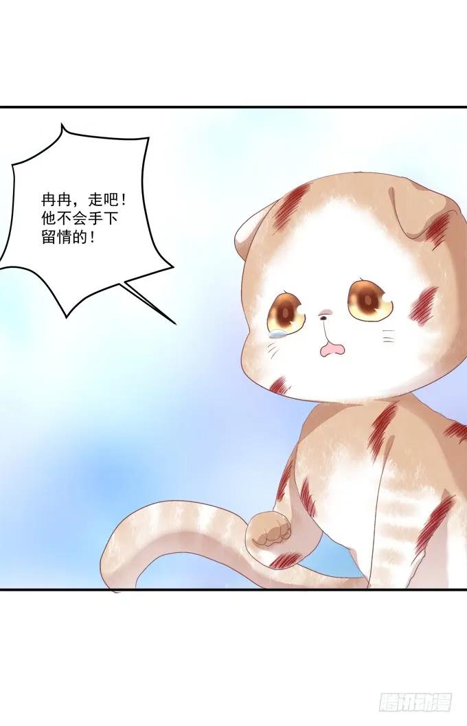 《猫妖的诱惑》黑白劫三十七 第17页