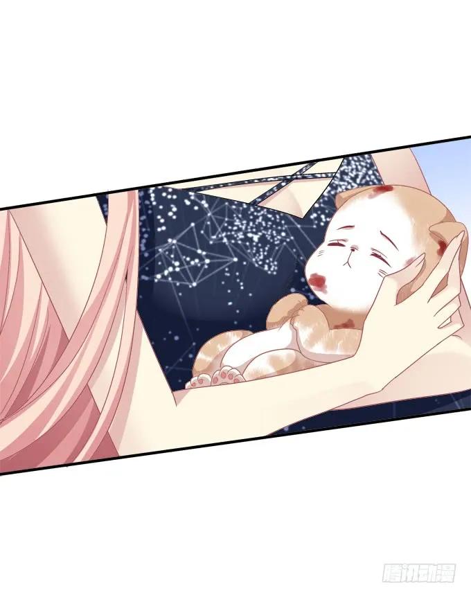 《猫妖的诱惑》黑白劫三十七 第29页