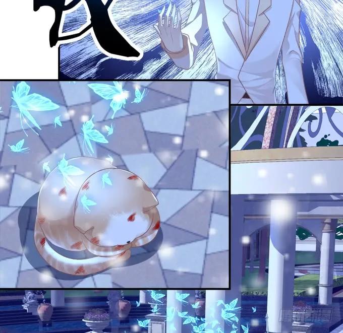 《猫妖的诱惑》黑白劫三十七 第8页