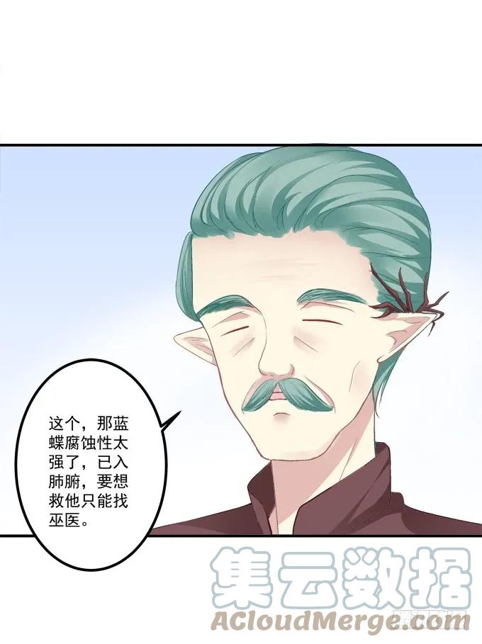 《猫妖的诱惑》凤凰冢一 第43页