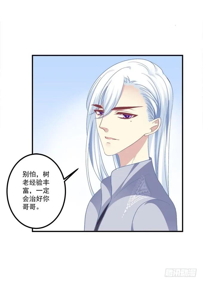 《猫妖的诱惑》凤凰冢一 第5页