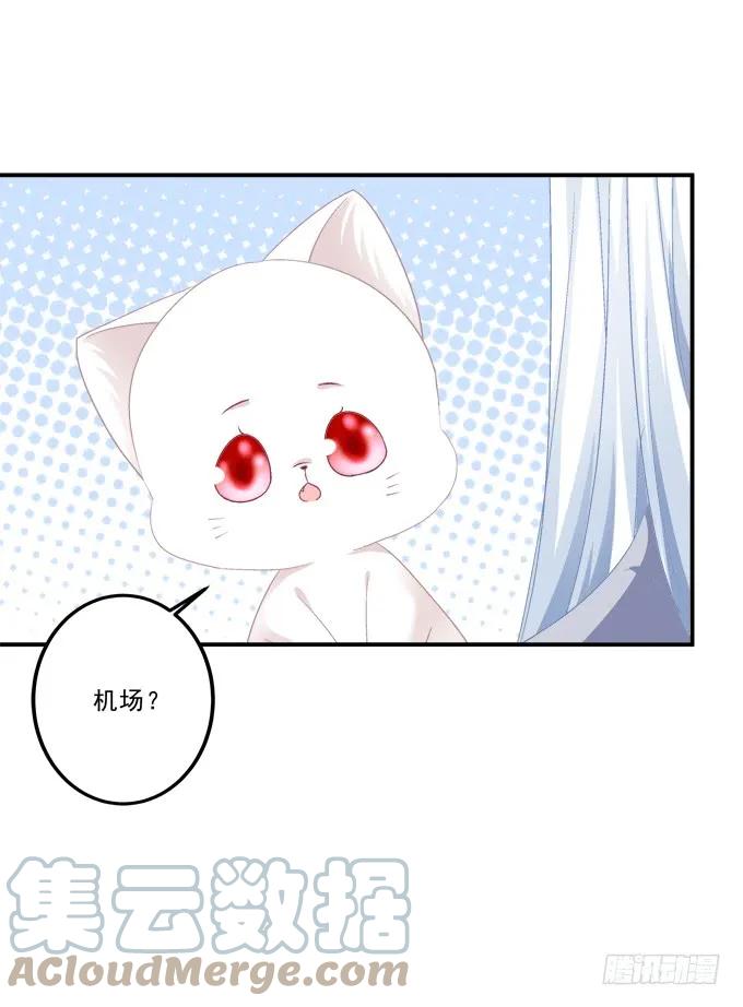 《猫妖的诱惑》凤凰冢二 第13页