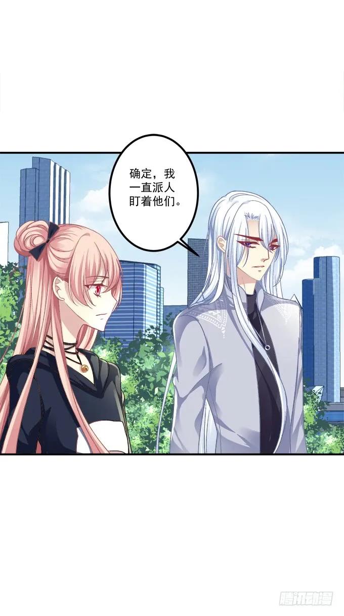 《猫妖的诱惑》凤凰冢二 第3页