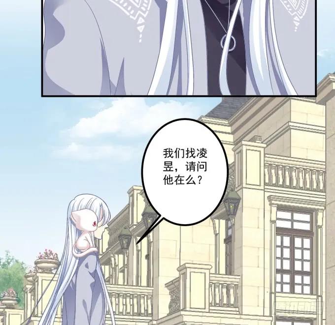 《猫妖的诱惑》凤凰冢二 第11页