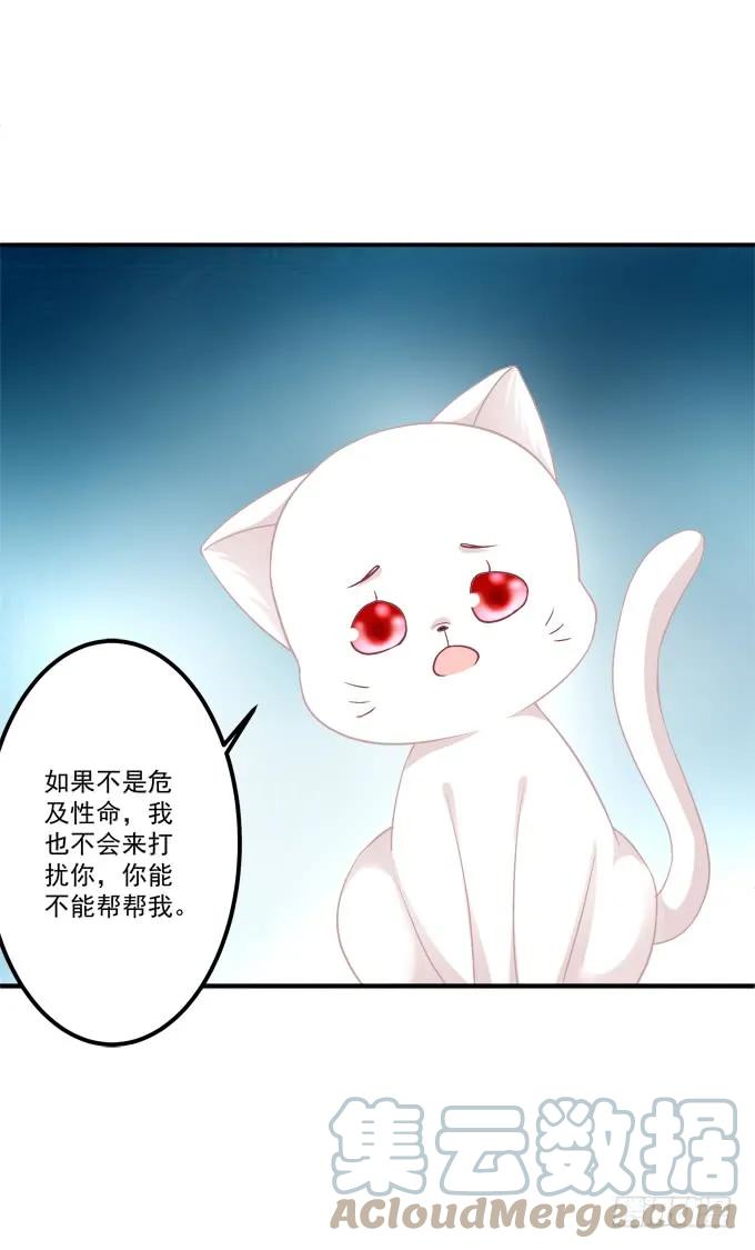 《猫妖的诱惑》凤凰冢二 第34页