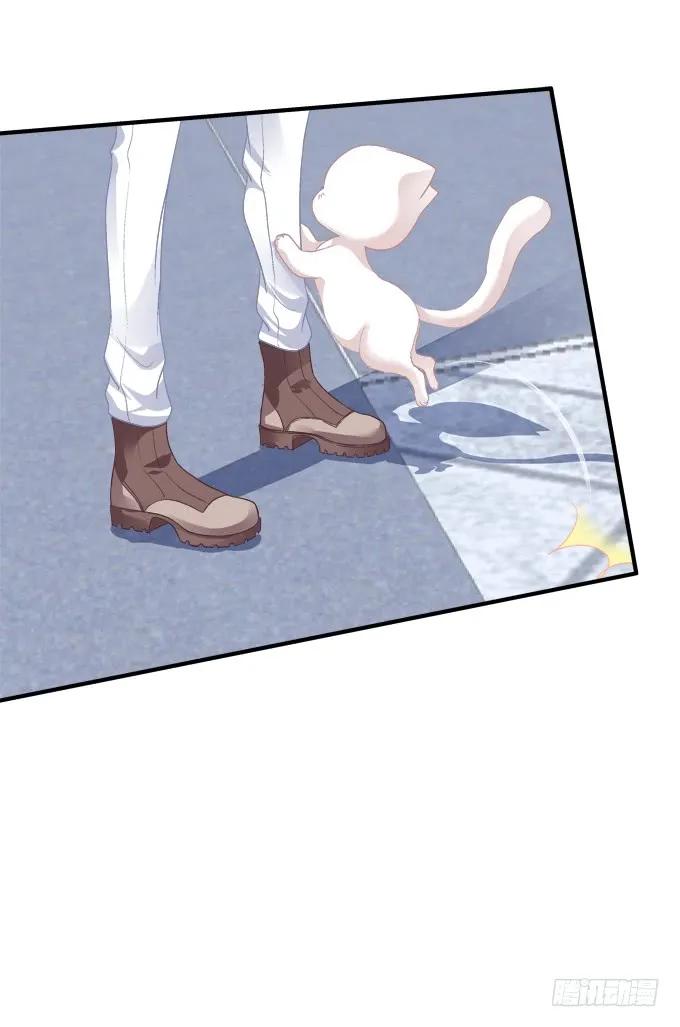 《猫妖的诱惑》凤凰冢二 第9页