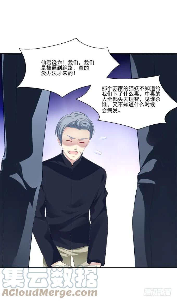 《猫妖的诱惑》凤凰冢四 第19页