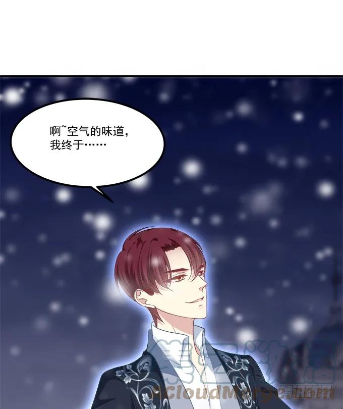 《猫妖的诱惑》凤凰冢四 第46页