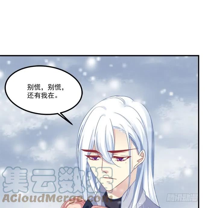 《猫妖的诱惑》凤凰冢四 第13页
