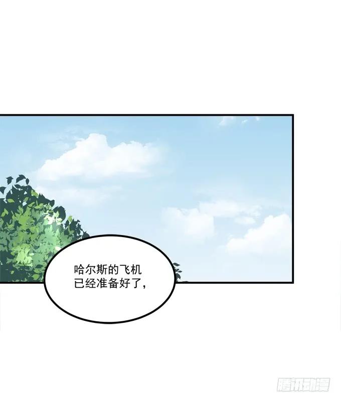 《猫妖的诱惑》凤凰冢五 第5页