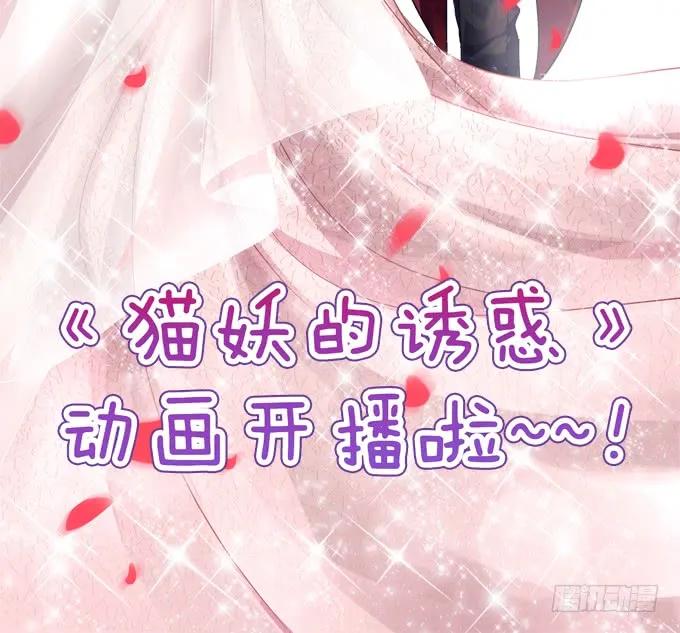 《猫妖的诱惑》凤凰冢五 第3页