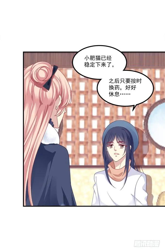 《猫妖的诱惑》凤凰冢五 第11页