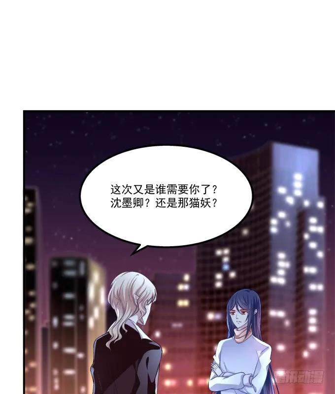 《猫妖的诱惑》凤凰冢六 第17页