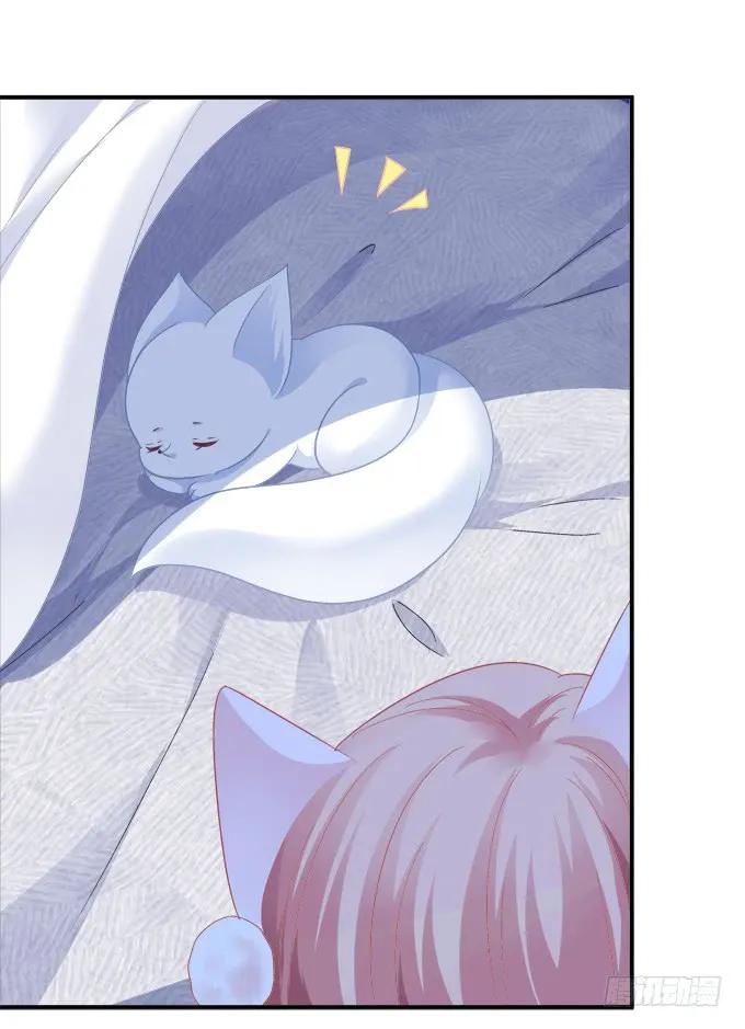 《猫妖的诱惑》凤凰冢六 第56页
