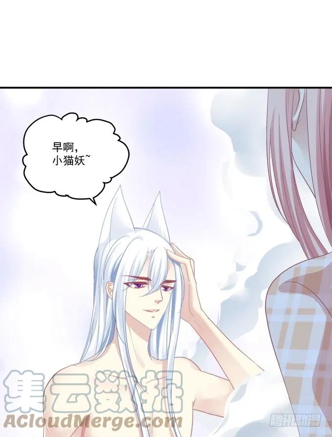 《猫妖的诱惑》凤凰冢六 第58页