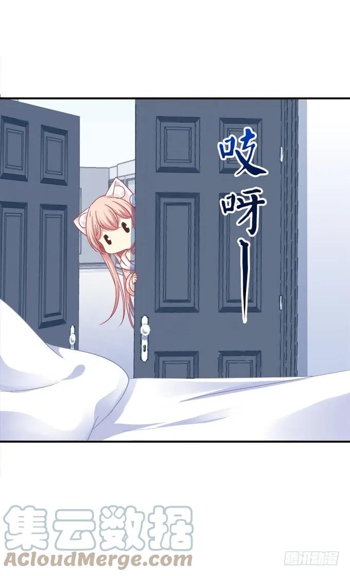 《猫妖的诱惑》凤凰冢六 第52页