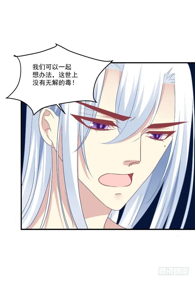 《猫妖的诱惑》凤凰冢七 第42页