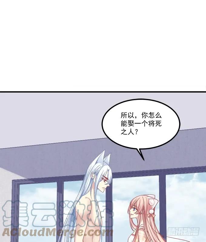 《猫妖的诱惑》凤凰冢七 第40页