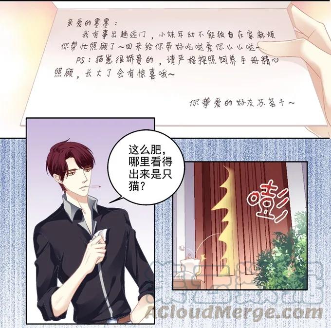《猫妖的诱惑》我可以吻你吗？ 第17页
