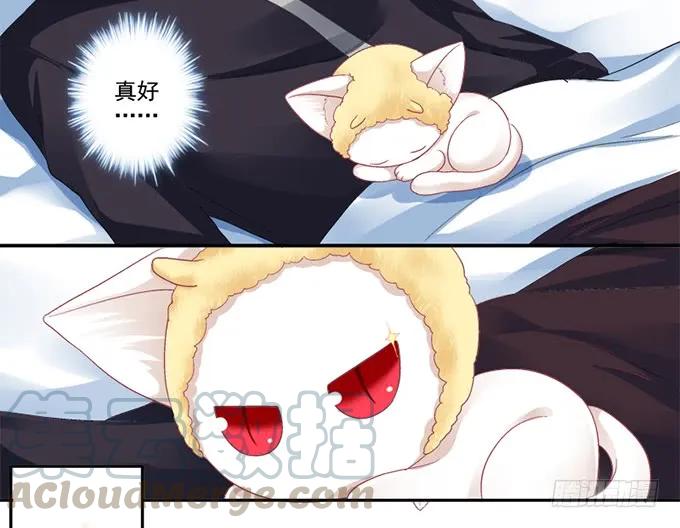 《猫妖的诱惑》我可以吻你吗？ 第29页