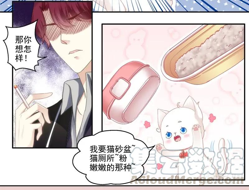 《猫妖的诱惑》我可以吻你吗？ 第65页
