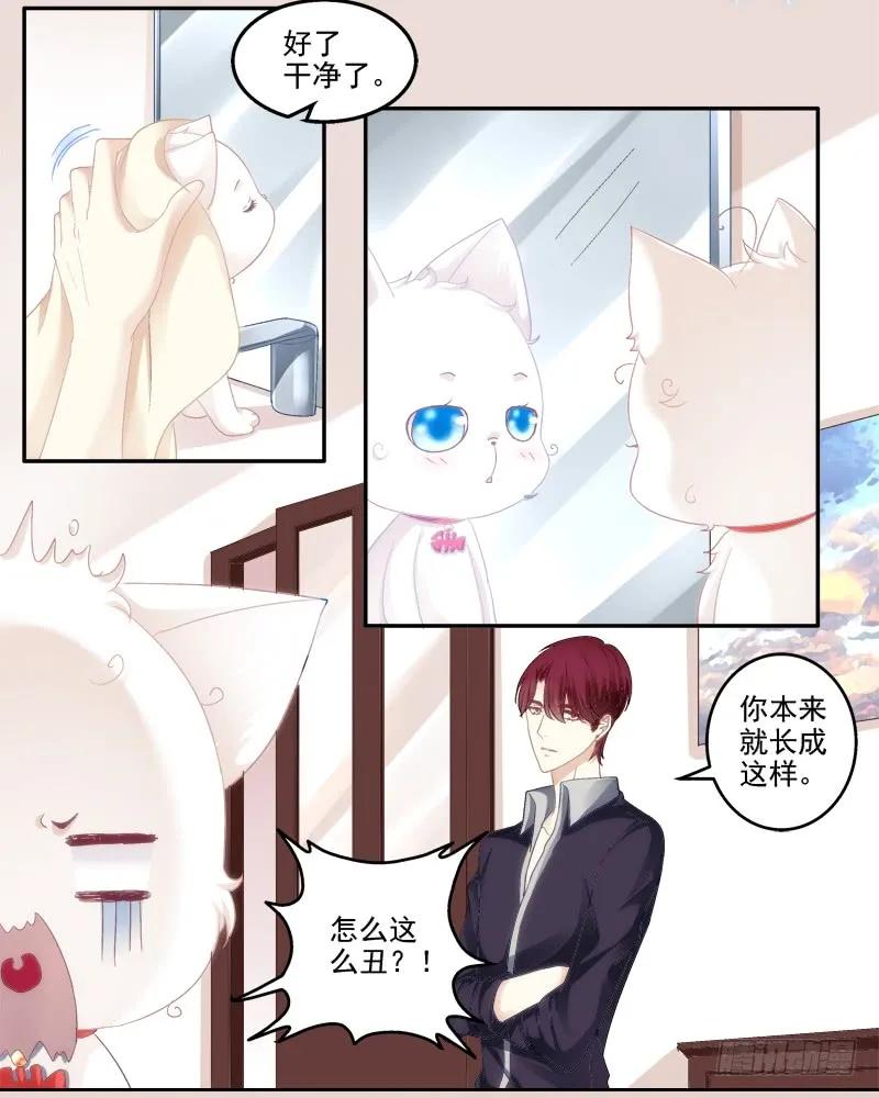《猫妖的诱惑》我可以吻你吗？ 第58页