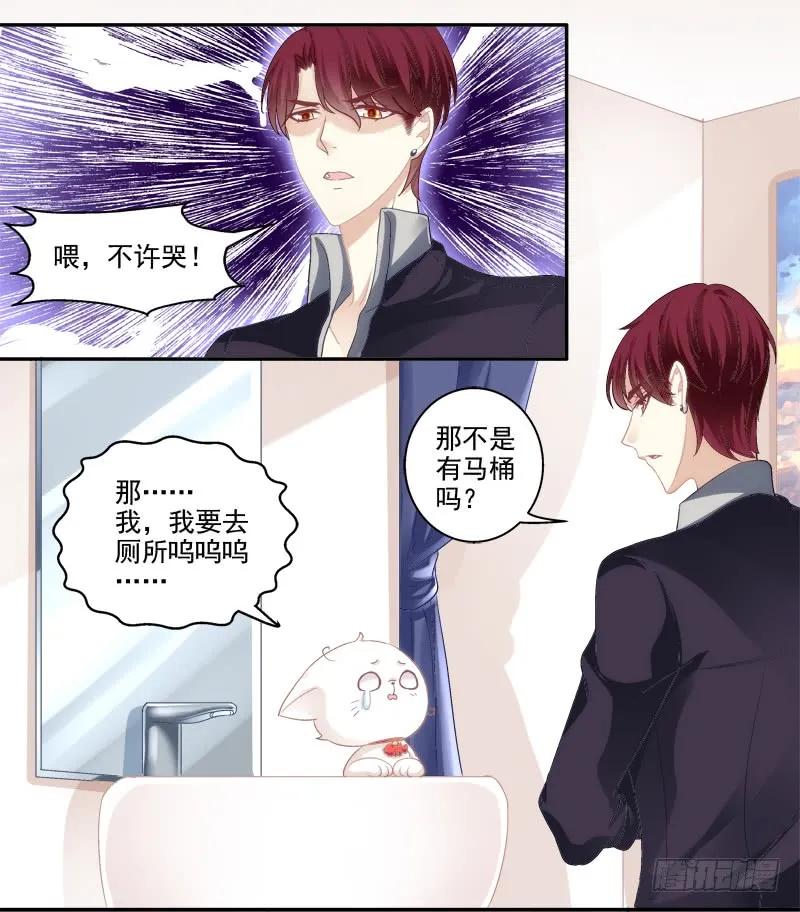 《猫妖的诱惑》我可以吻你吗？ 第60页
