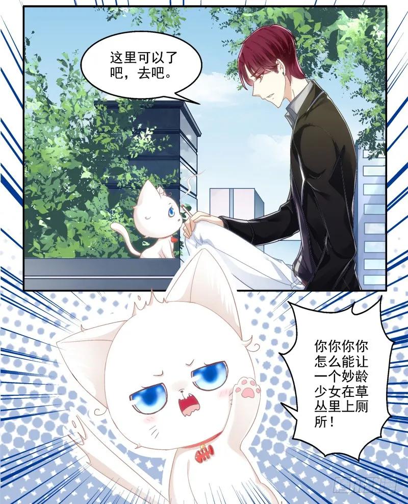 《猫妖的诱惑》我可以吻你吗？ 第64页