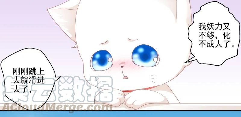 《猫妖的诱惑》我可以吻你吗？ 第61页