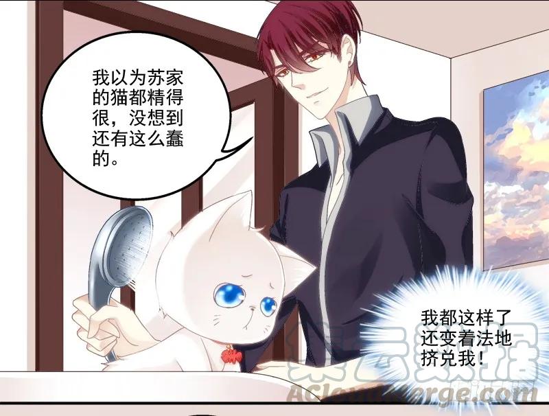 《猫妖的诱惑》我可以吻你吗？ 第57页