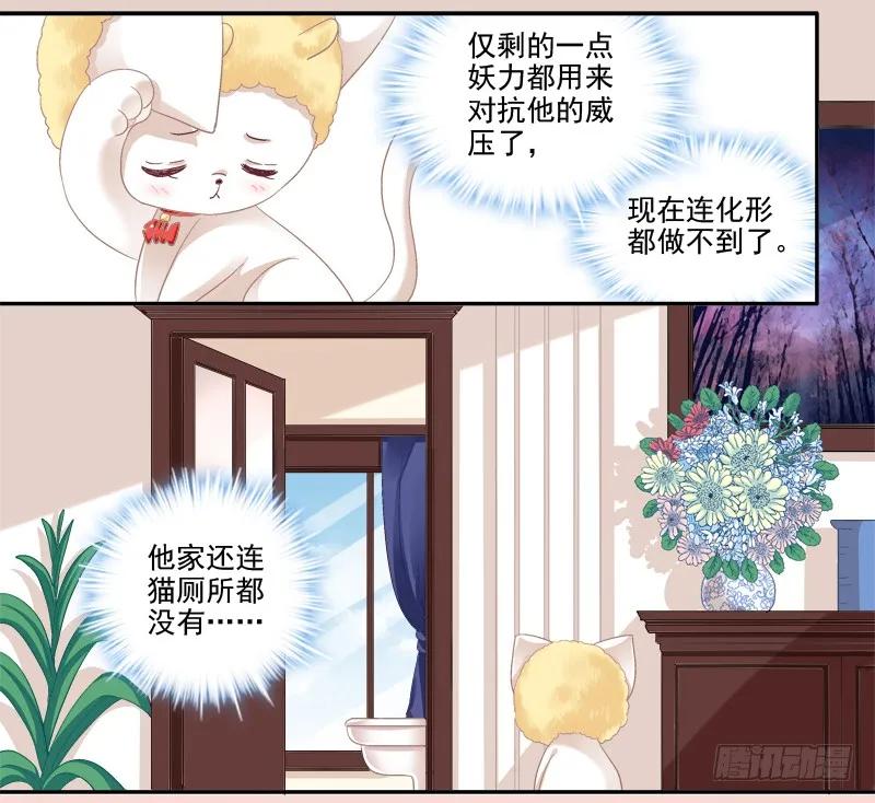 《猫妖的诱惑》我可以吻你吗？ 第48页