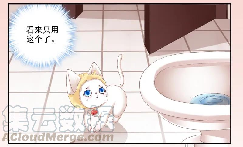 《猫妖的诱惑》我可以吻你吗？ 第49页