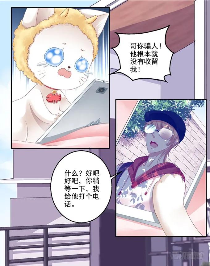 《猫妖的诱惑》我可以吻你吗？ 第19页