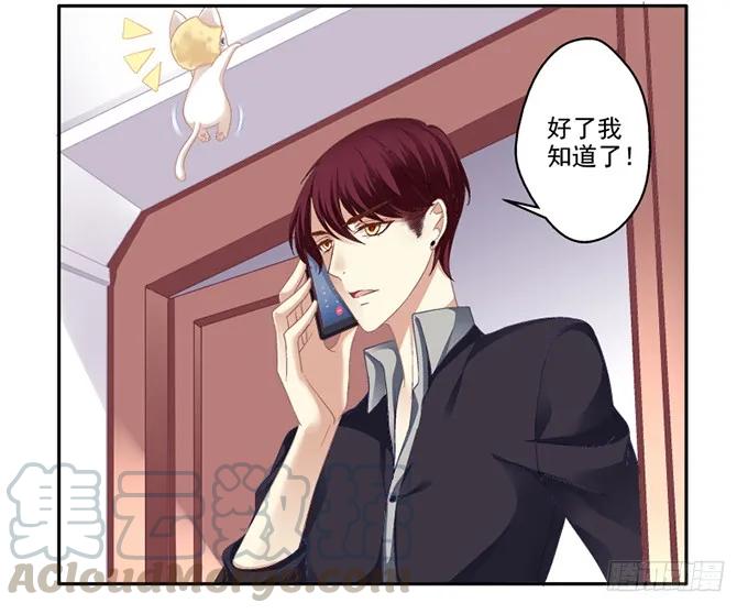 《猫妖的诱惑》我可以吻你吗？ 第21页